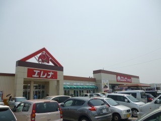 ハイカムールアルパ(エレナ大村中央店)
