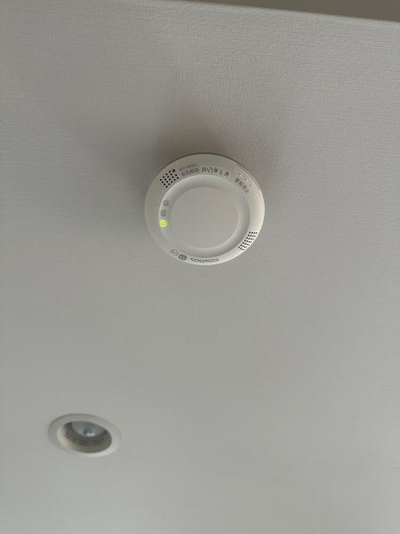 アンピール大村ステーションツリー