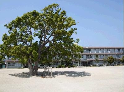 諏訪戸建(大村市立西大村小学校)