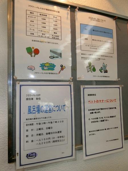 フラワーパレス白子