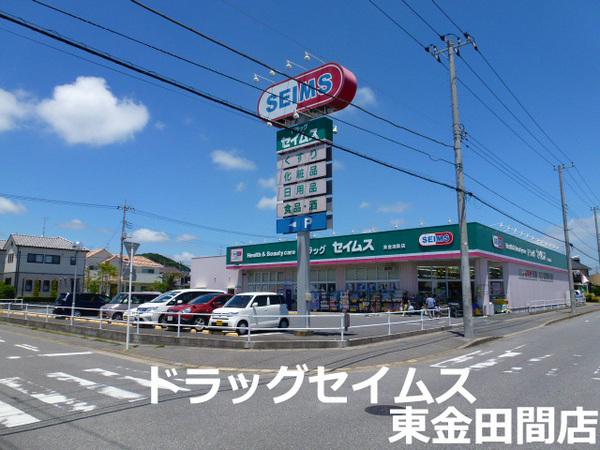 タウンコート田間Ａ(ドラッグセイムス東金田間店)