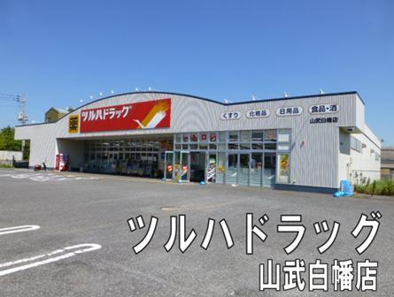 山武市白幡の貸家(ツルハドラッグ山武白幡店)