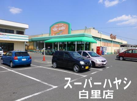 東金市二之袋の貸家(フードプラザハヤシ白里店)