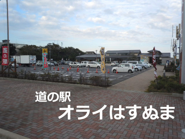 山武市蓮沼ニの貸家(オライはすぬま)