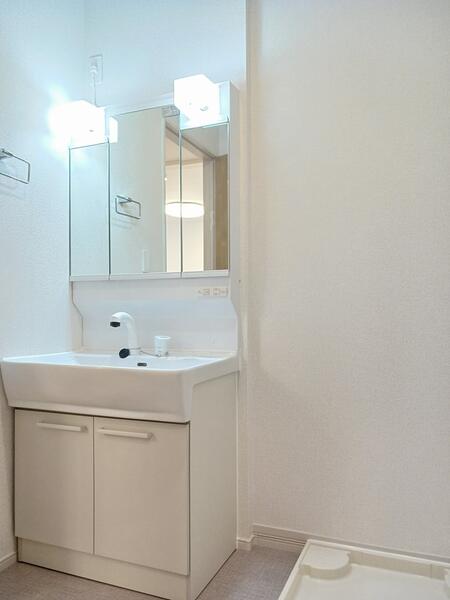 東金市台方のアパート(洗面台・洗面所)