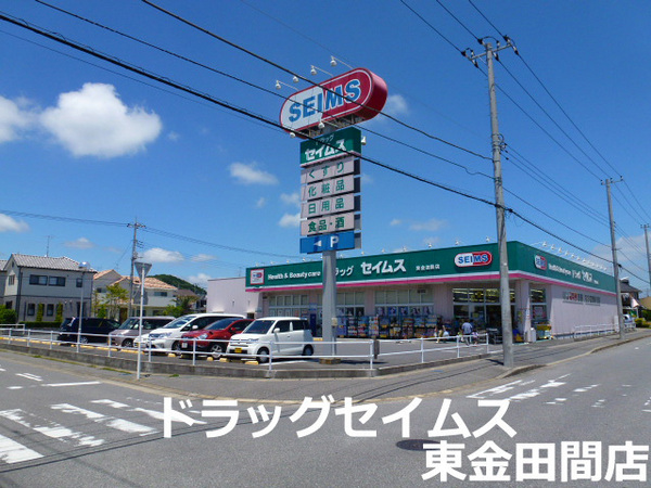 サニーハイツ(ドラッグセイムス東金田間店)