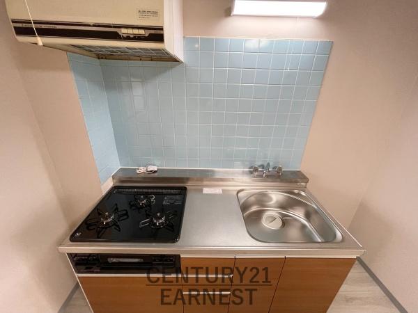 メゾンセキセイ