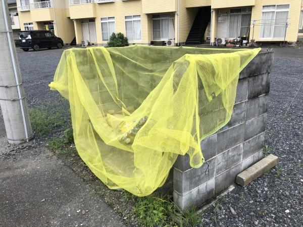 オーランド家中C