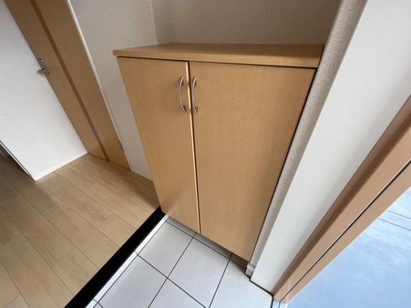 パンプキンフィールド