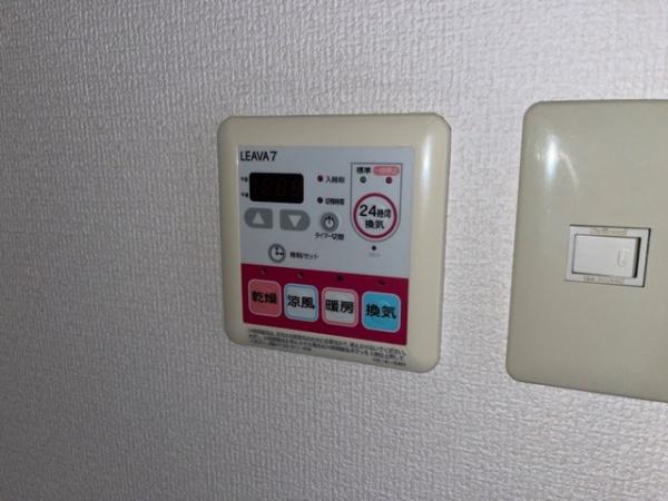 タウニーエーデル