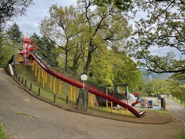 キララヨシエル A(嘉多山公園)