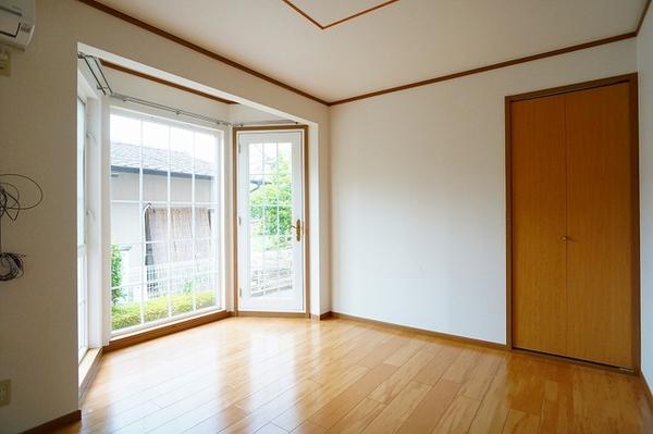 カラジューム雅Ｂ