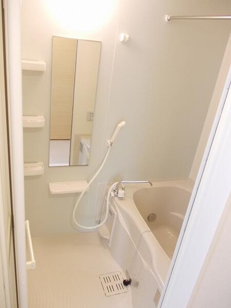 フォルム　植上