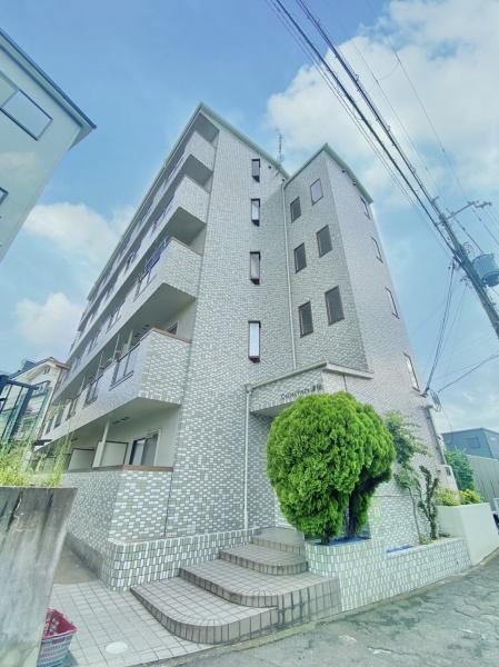 コレクション津田