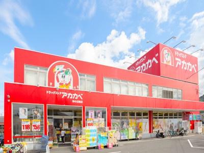 コレクション津田(ドラッグアカカベ津田店)