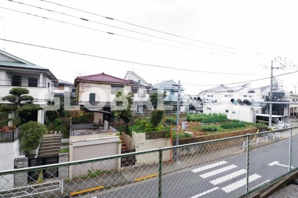 ダイヤモンドミスト