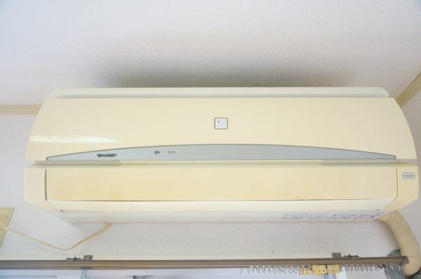 アルファライフ