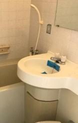 アルファライフ