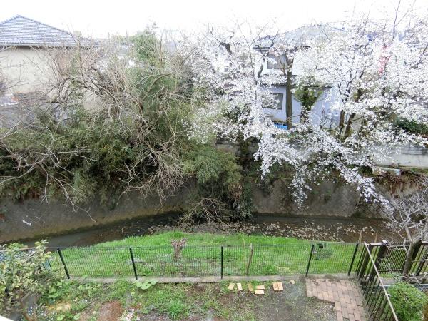 山田町貸家II