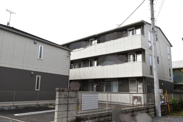 ココン　セレソ
