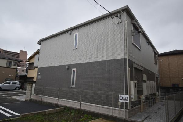 ココン　セレソ2