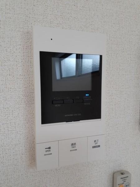プラシード　カメリア