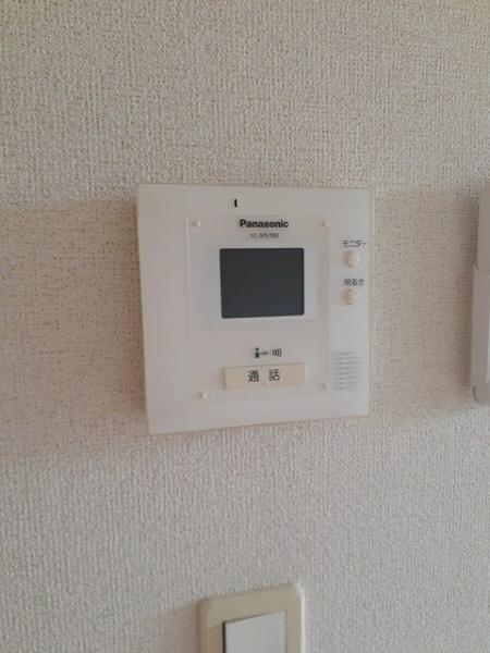 アプリコット
