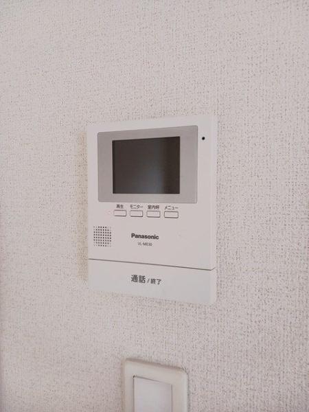 ヴィオラ2