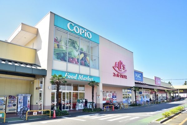 八王子市丹木町3丁目のアパート(コピオ)