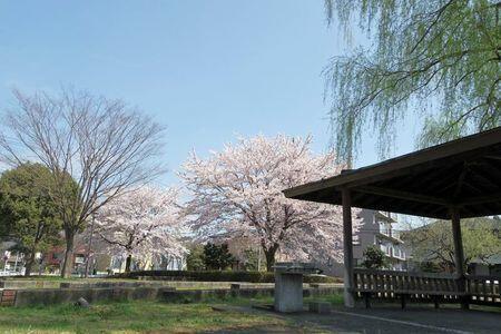 八王子市上柚木の貸家
