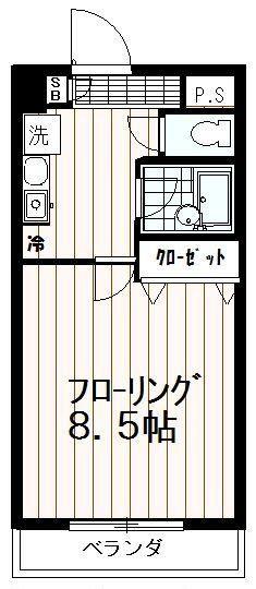 ルピナス１０