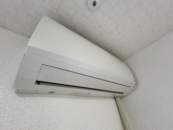 キャビンタコス