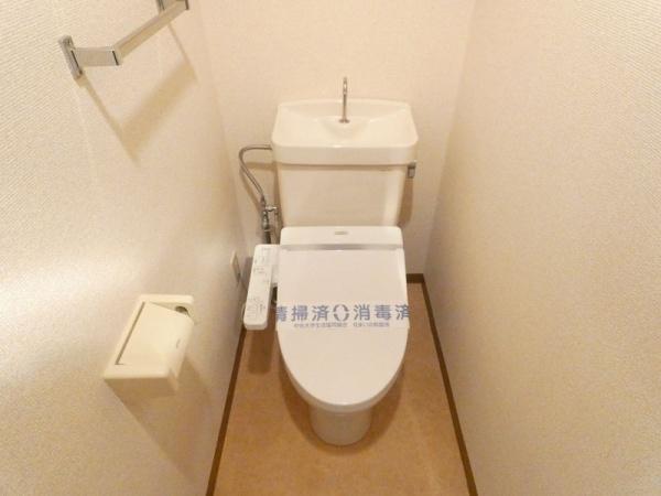 C's3KANEKO