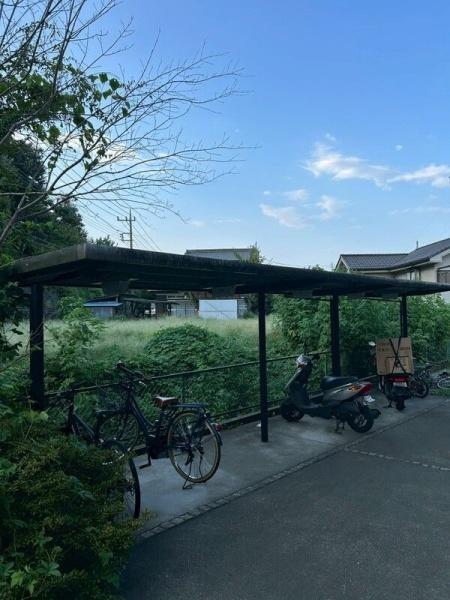 ヴェルドミール