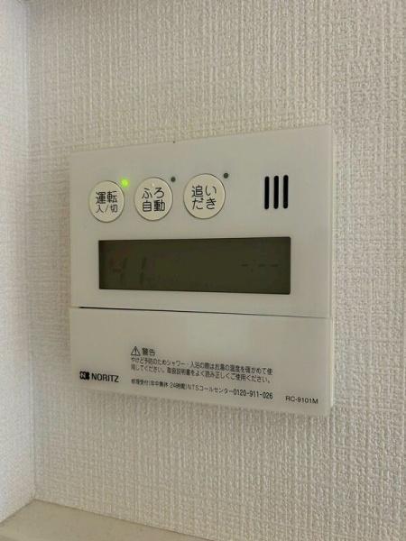 ヴェルドミール