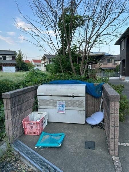 ヴェルドミール