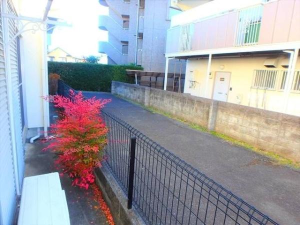 はいつひろ