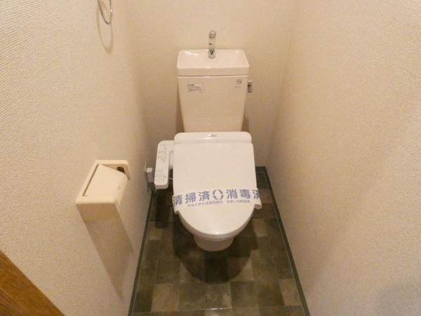 C's30KUMAZAWA