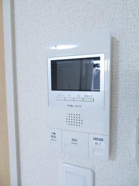 ルピナス3