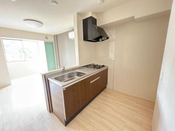 キャメロット八王子(キッチン)