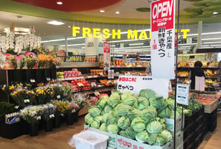 Bonnard(ボナール）(トップパルケ)