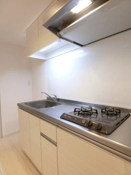 リブリ・ルミエール日野