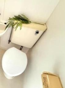 ハッピーパレス越野