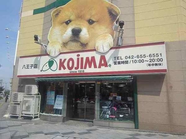 シュトラーレ　八日町