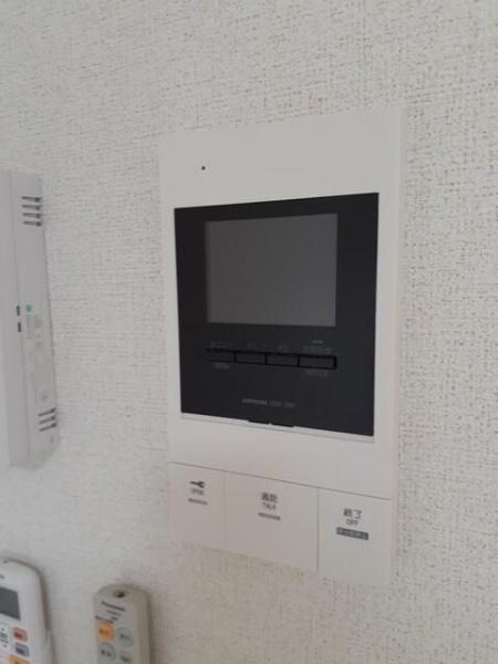 プラシード　カメリア