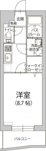 クーチャ　万願寺