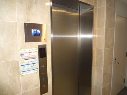 ヴェルドミールマーガレット