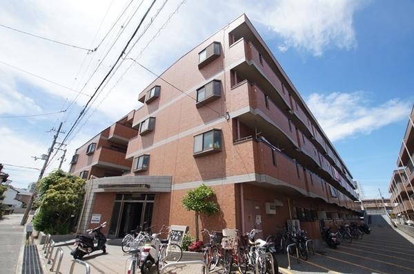 フリーダム中村