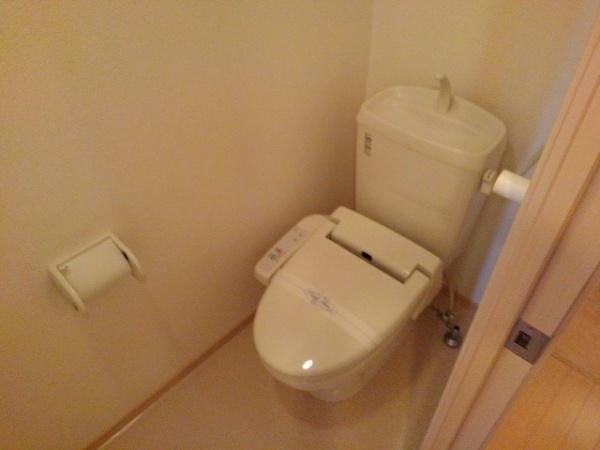 ネオカーサ