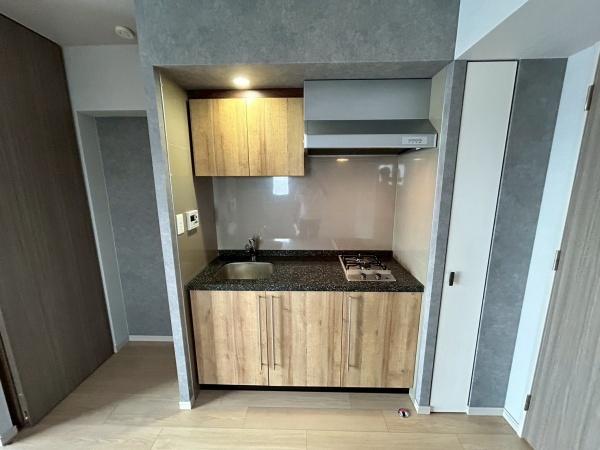 プレサンス昭和通ESRISE